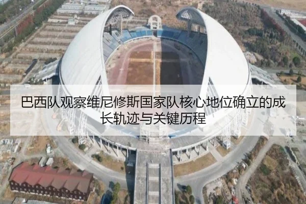 巴西队观察维尼修斯国家队核心地位确立的成长轨迹与关键历程 - c7c7